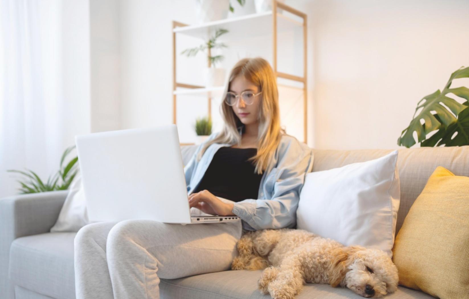 Visualisasi tren pasar properti Indonesia dengan data statistik terbaru